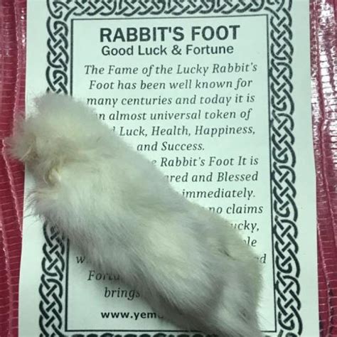 The Amuketo Rabbit's Foot in Popular Culture